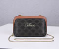 CELINE TRIOMPHE Women bag Best quality