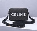 Celine triomphe Women bag Best quality