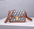 Celine PVC Triomphe Canvas Women bag Best quality