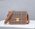 Celine PVC Triomphe Canvas Women bag Best quality