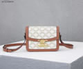 CELINE PVC Triomphe Canvas Size S Women bag Best quality