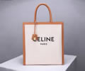 CELINE Women bag Best quality