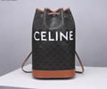 CELINE TRIOMRHE Women bag Best quality
