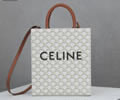 CELINE Women bag Best quality