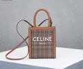 CELINE Triomphe Mini Cabas Women bag Best quality