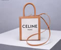 CELINE Triomphe Mini Cabas Women bag Best quality