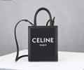 CELINE Triomphe Mini Cabas Women bag Best quality