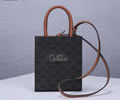 CELINE Triomphe Mini Cabas Women bag Best quality