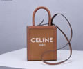 CELINE Triomphe Mini Cabas Women bag Best quality