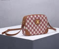 CELINE TRIOMPHE Women bag Best quality
