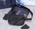 Dior SADDLE Top quality 1:1