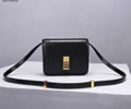 CELINE Women bag Best quality