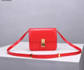 CELINE Women bag Best quality