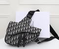 Dior homme Pre-Fall saddle bag