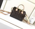 Louis Vuitton Speedy 20 Women Bag