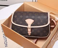 Louis Vuitton Women Bag