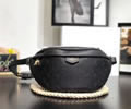 Louis Vuitton BUMBAG Waist pack LV