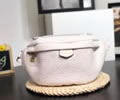Louis Vuitton BUMBAG Waist pack LV