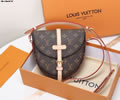 Louis Vuitton Women Bag