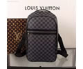 Louis Vuitton Bag LV