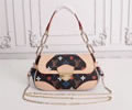 Louis Vuitton Women Bag
