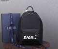 Dior x Kaws BackPack top quality 1:1
