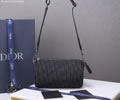 Dior Oblique Roller Bag