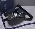 DIOR Pre-Fall Saddle Top quality 1:1