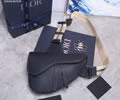 DIOR Pre-Fall Saddle Top quality 1:1