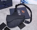 DIOR Pre-Fall Saddle Top quality 1:1