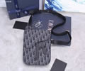 Dior Oblique Bags top quality 1:1