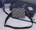 Dior Oblique Bags top quality 1:1
