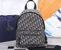 Dior Oblique Size S BackPack top quality 1:1