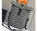 Dior 8 BackPack top quality 1:1
