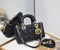 DIOR bag