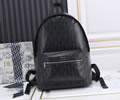 Dior backpack bag