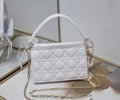 DIOR bag