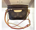 Louis Vuitton Women Bag LV