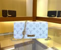 Louis Vuitton Women Bag LV