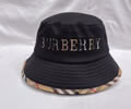 BURBERRY Cap without box best quality