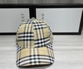 BURBERRY Cap without box best quality