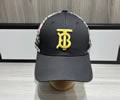 BURBERRY Cap without box best quality