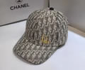 Dior Cap best quality without box