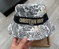 Dior Cap best quality without box