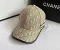 Dior Cap best quality without box