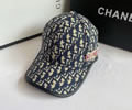 Dior Cap best quality without box