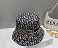 Dior Cap best quality without box