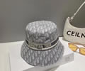 Dior Cap best quality without box