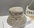 Dior Cap best quality without box