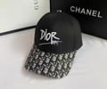 Dior Cap best quality without box